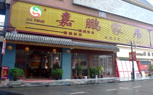 公司介绍