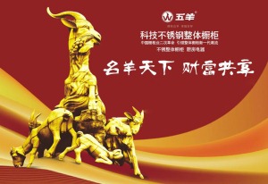 公司介绍