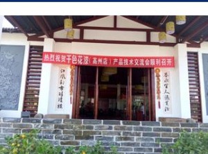 公司介绍