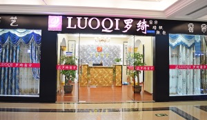 公司介绍