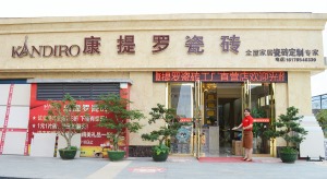 公司介绍