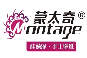 公司介绍