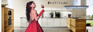 公司介绍