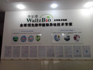 公司介绍
